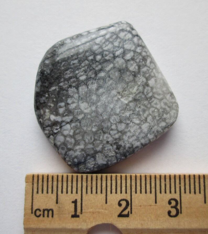 # 1AR 005 56.40 ct Natural Alaska Coral Cabochon Gemstone