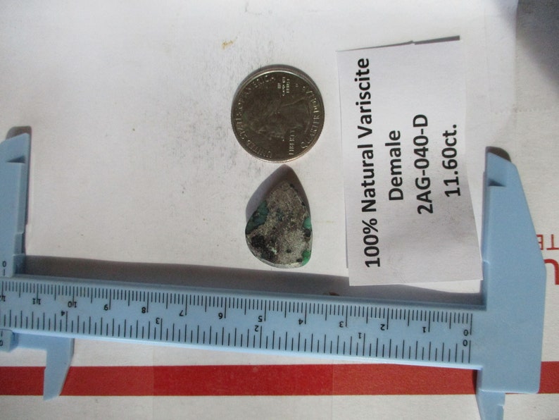 # 2AG 040 S 22x17x5 mm 100/% Natural Damele Variscite Cabochon Gemstone 11.6 ct.