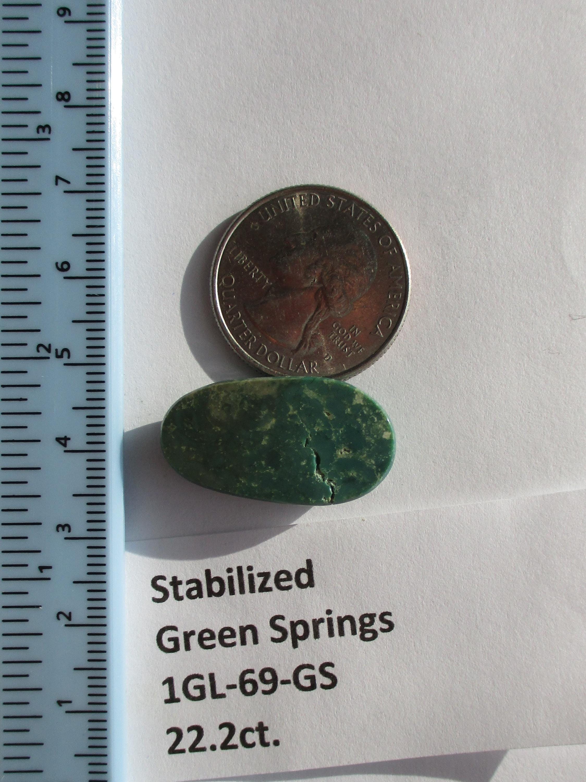 22.2 Ct. (27x15x7 Mm) Stabilized Green Springs Turquoise Cabochon