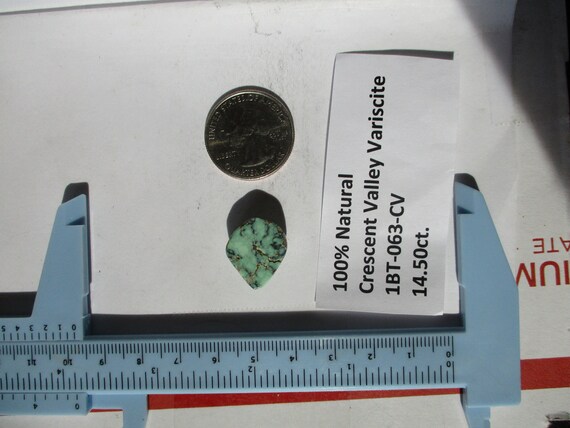 【VivRe stone】 14.5 Ct. (18.5x16x7 Mm) 100% Natural Crescent Valley