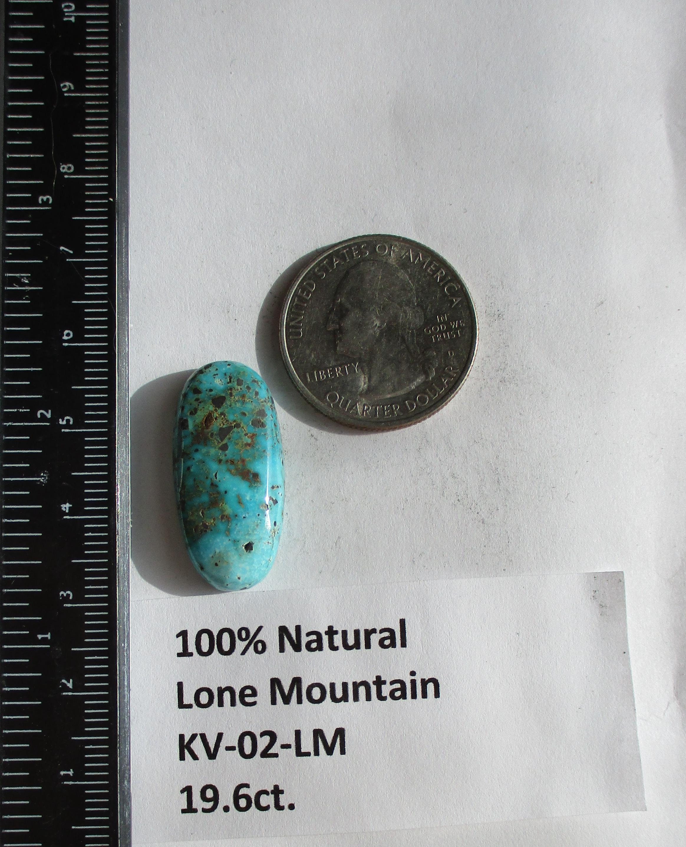 19.6 Ct. (27x13x6 Mm) 100% Natural Web Lone Mountain Turquoise