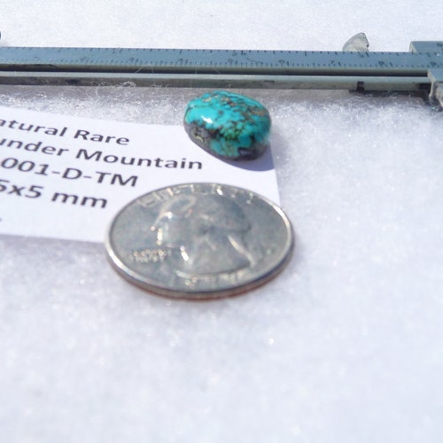 14.7 ct. Natural Rare Thunder Mountain Turquoise (Backed) 20x15x5 mm shops Cabochon, Gemstone E01-001-D-TM