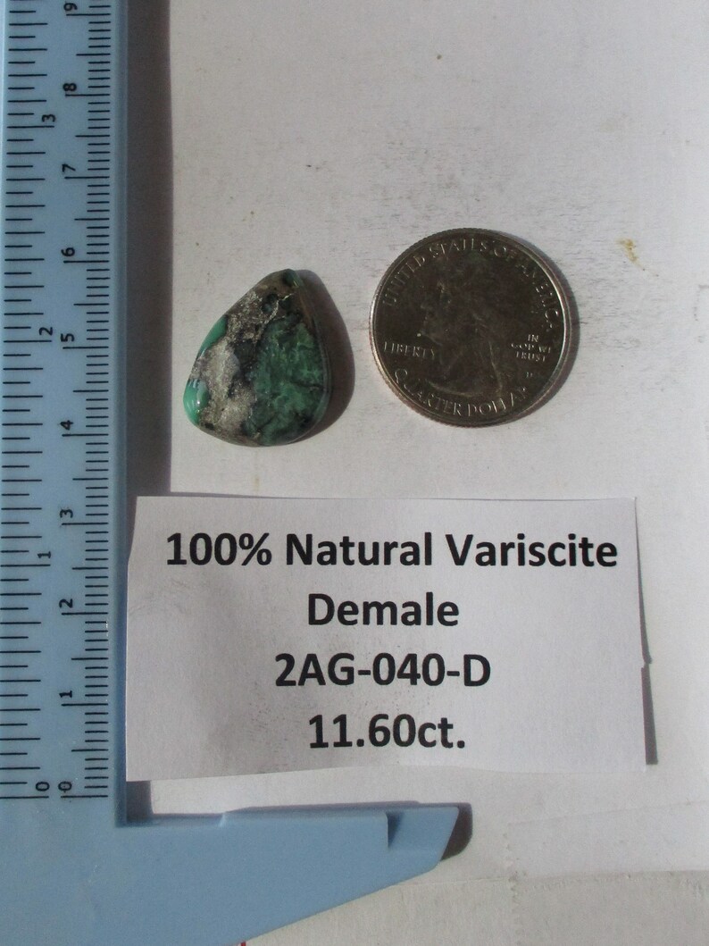 # 2AG 040 S 22x17x5 mm 100/% Natural Damele Variscite Cabochon Gemstone 11.6 ct.