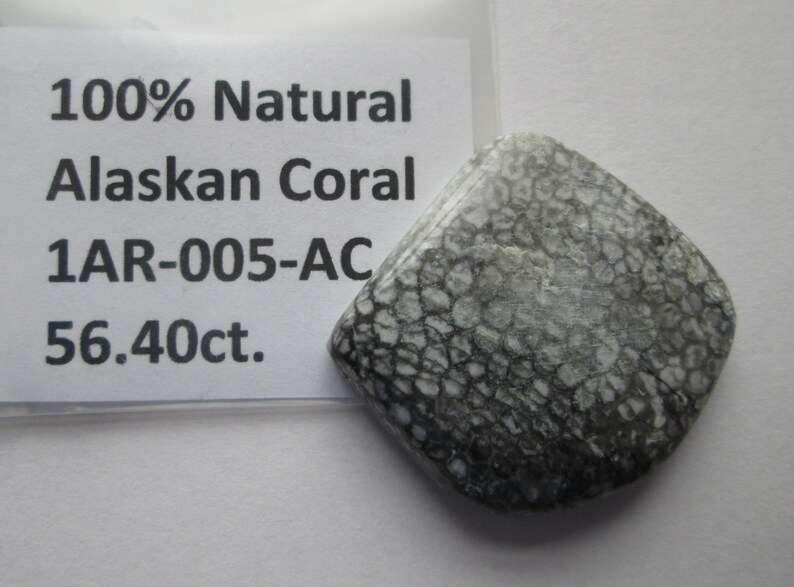 # 1AR 005 56.40 ct Natural Alaska Coral Cabochon Gemstone