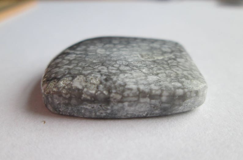 # 1AR 005 56.40 ct Natural Alaska Coral Cabochon Gemstone