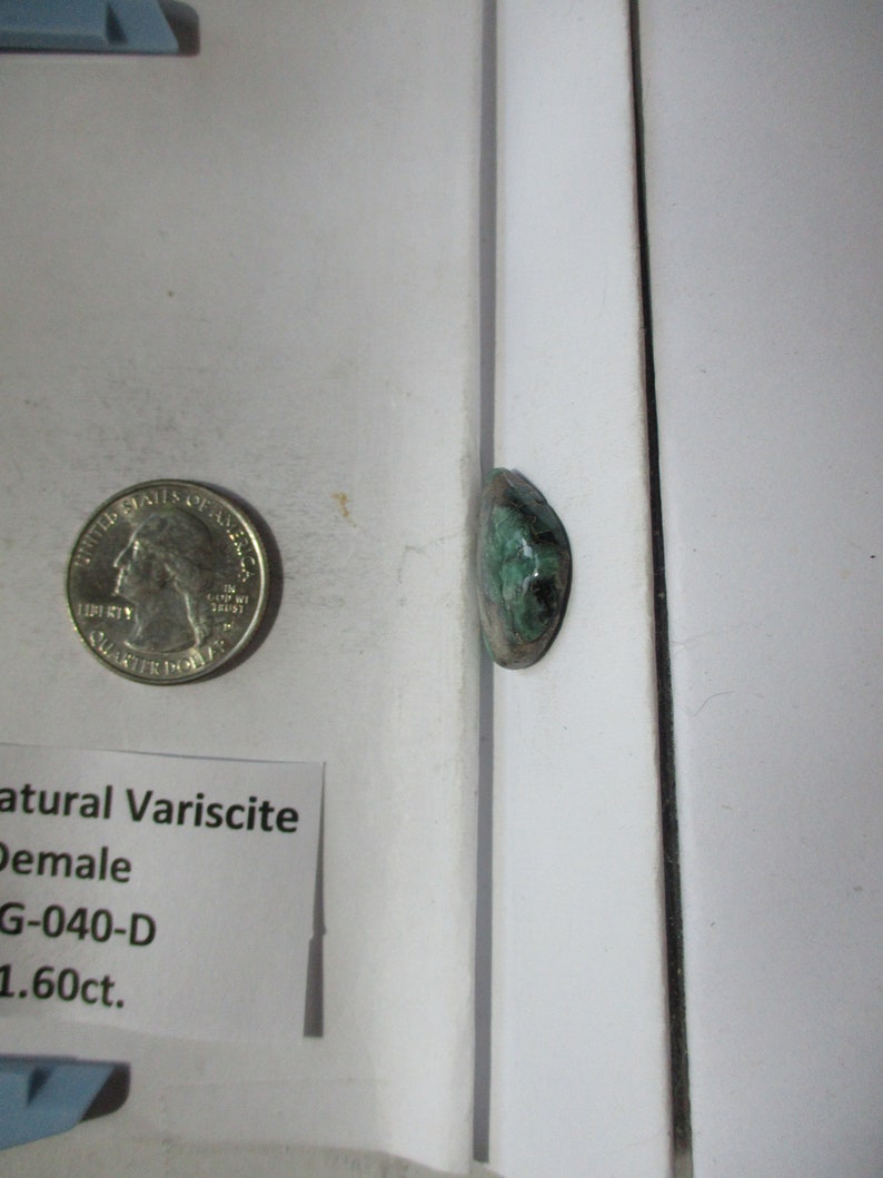 # 2AG 040 S 22x17x5 mm 100/% Natural Damele Variscite Cabochon Gemstone 11.6 ct.