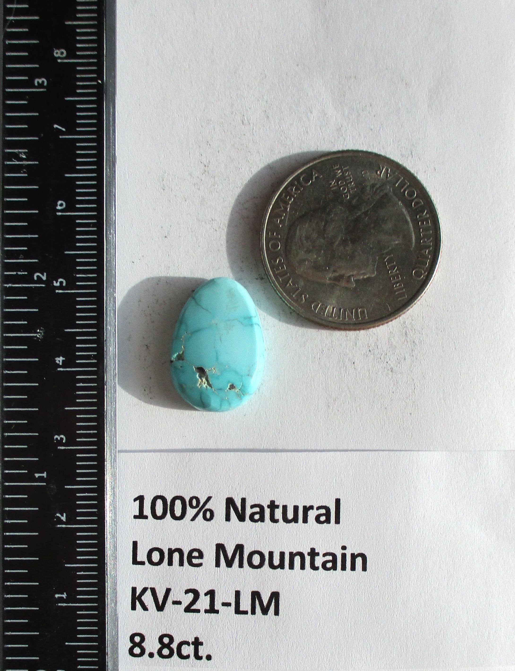 8.8 Ct. (18x12.5x5 Mm) 100% Natural Lone Mountain Turquoise