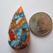 80.00 ct Compressed Stabilized Kingman Turquoise, Spiny Oyster Gemstone # 1BH 006