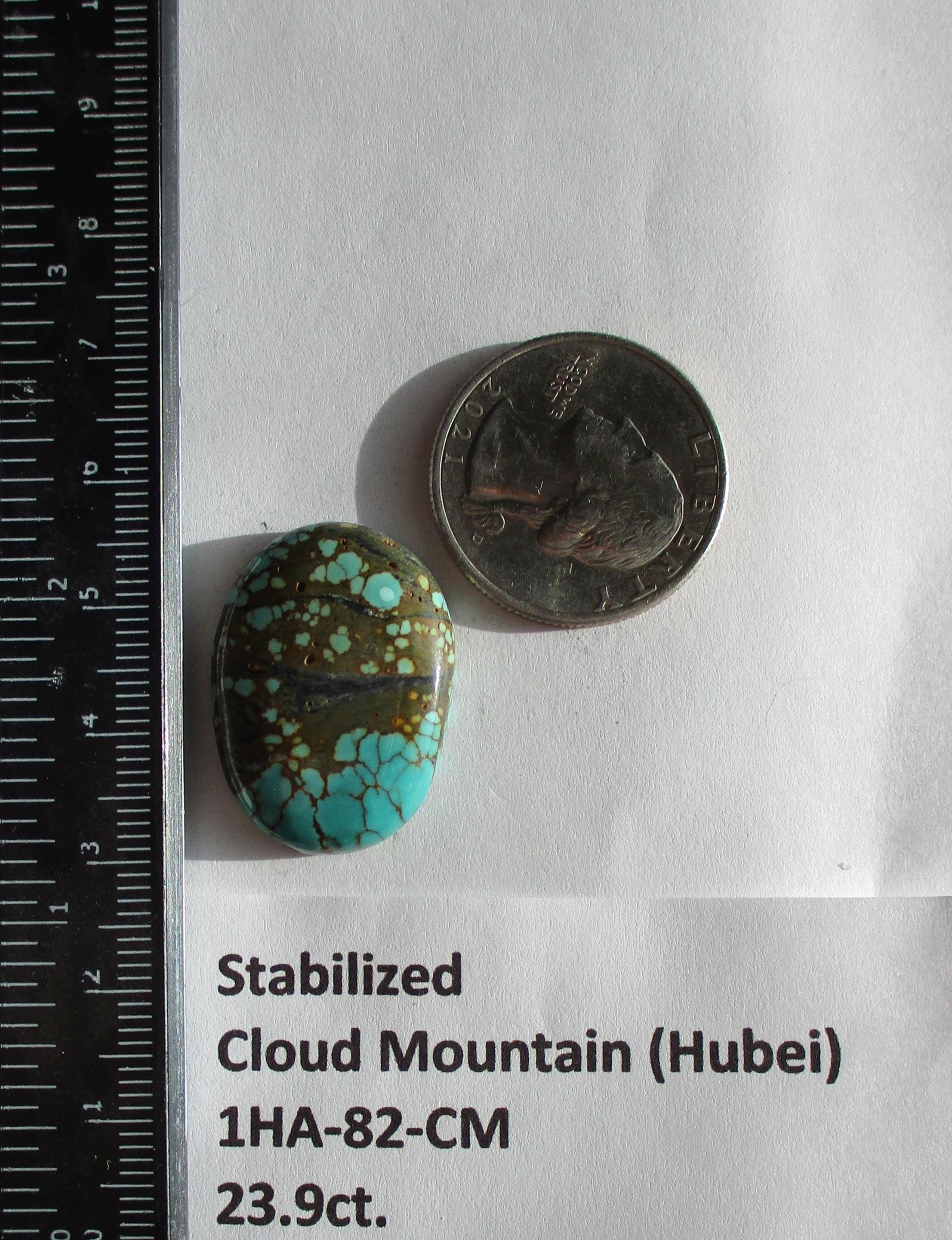 23.9 Ct. (27x20x6 Mm) Stabilized Web Cloud Mountain (hubei