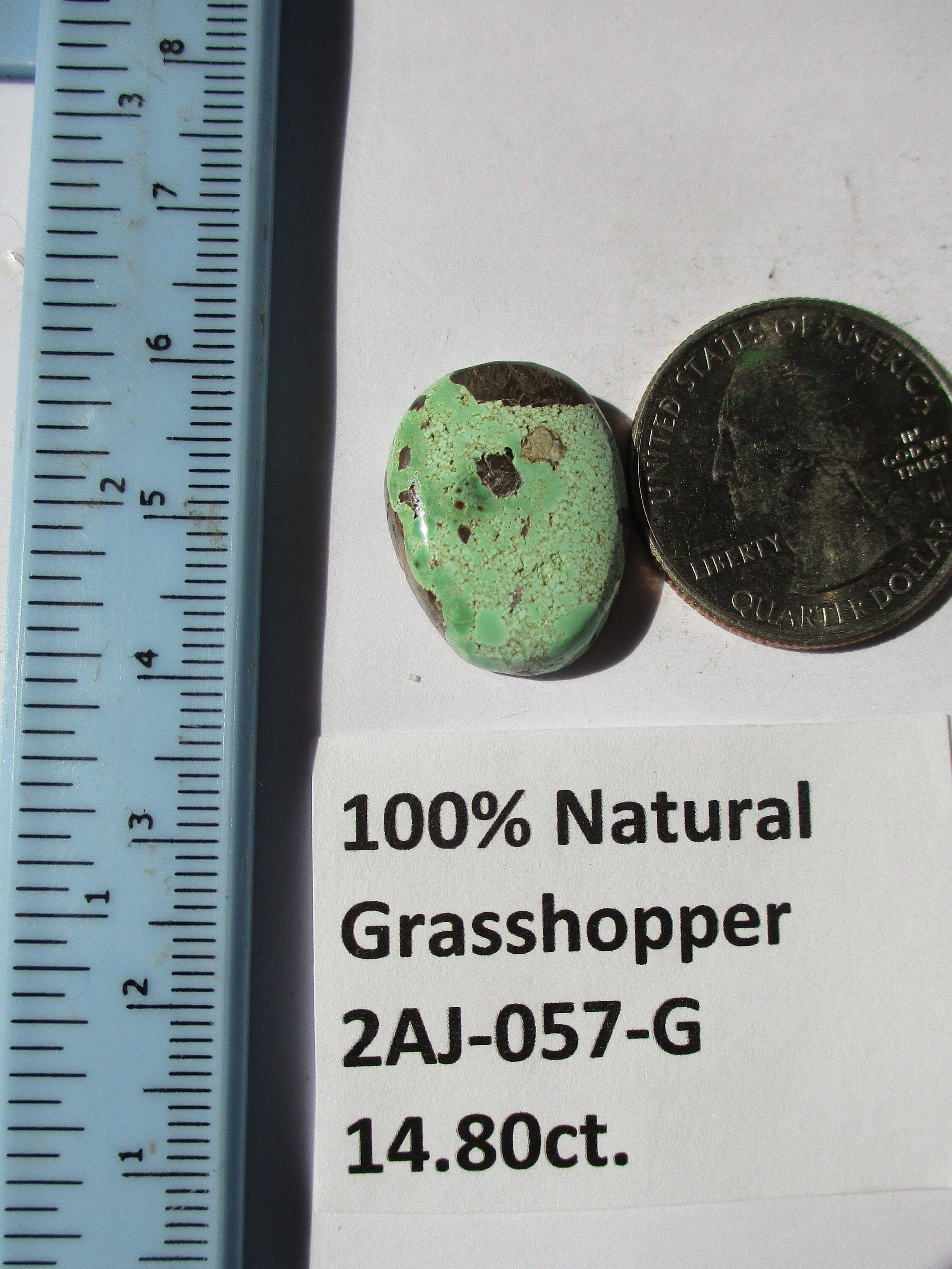 14.8 Ct. 21x16x5.5 Mm 100% Natural Rare Grasshopper