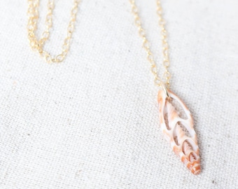 Shell Pendant Necklace, Real Shell Necklace, Gold Filled Necklace, Gold Chain Jewelry, Gold Necklace, Everyday Jewelry, Beachy Necklace