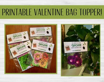 You Make My Heart Grow Valentine Print | Printable Valentine Bag Toppers | Classroom Valentine | Gardners Valentine| Personalized Valentine