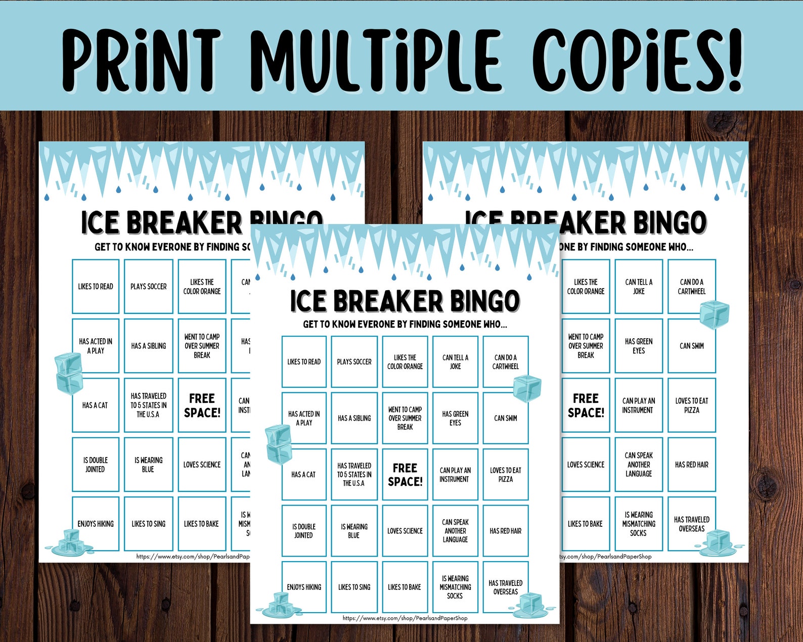 Ice Breaker Bingo Game Kids Ice Breaker Game Ice Breaker Bingo Game