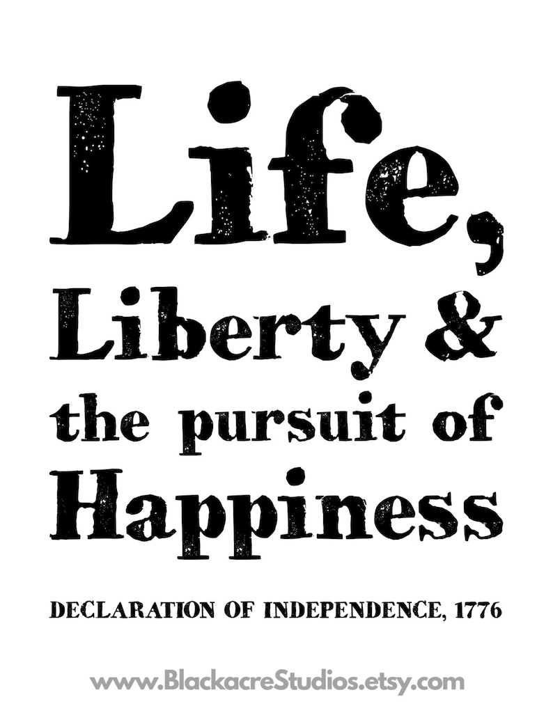 life freedom and the pursuit of happiness essay