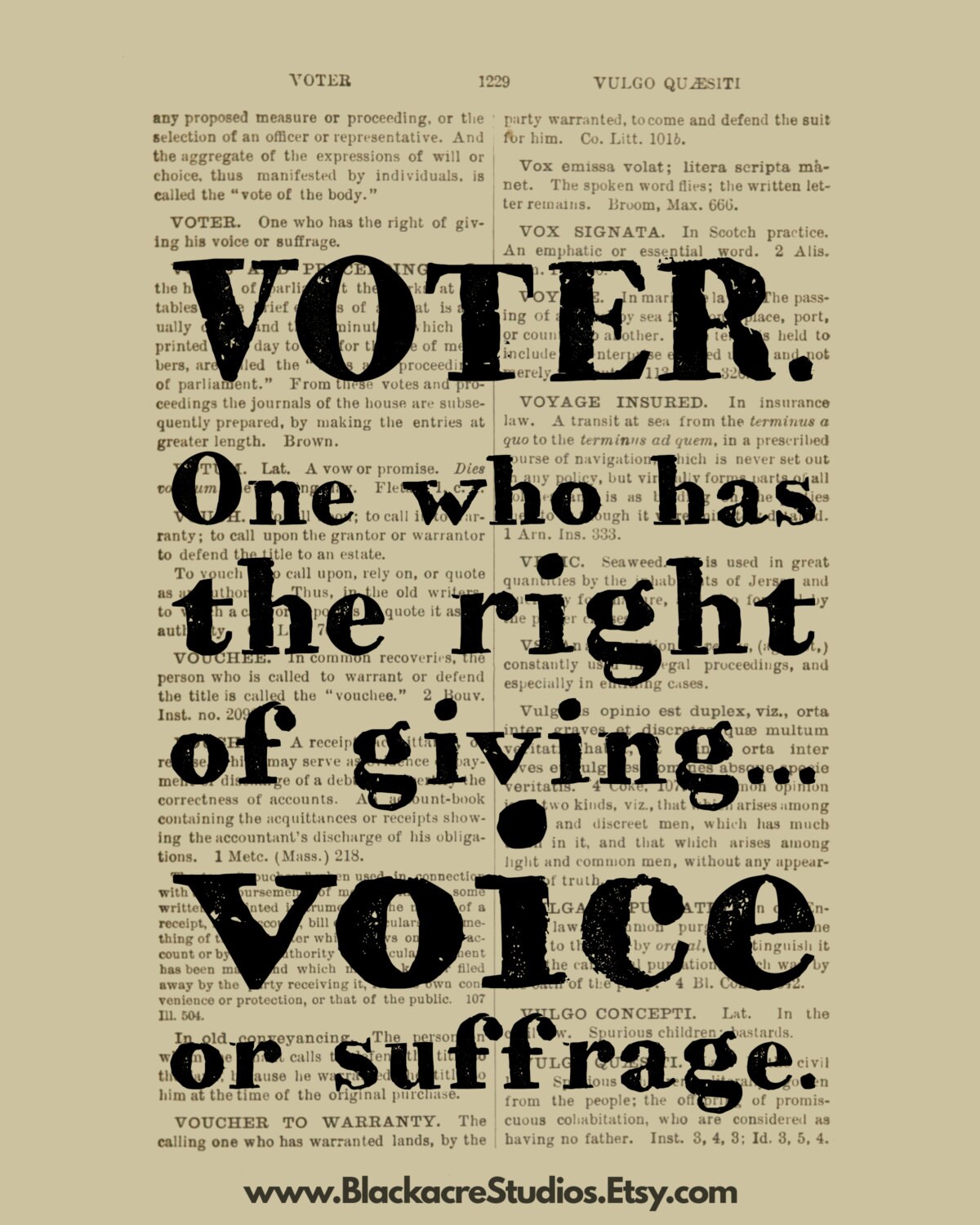 Voter Definition Election Ballot Law School Last Etsy