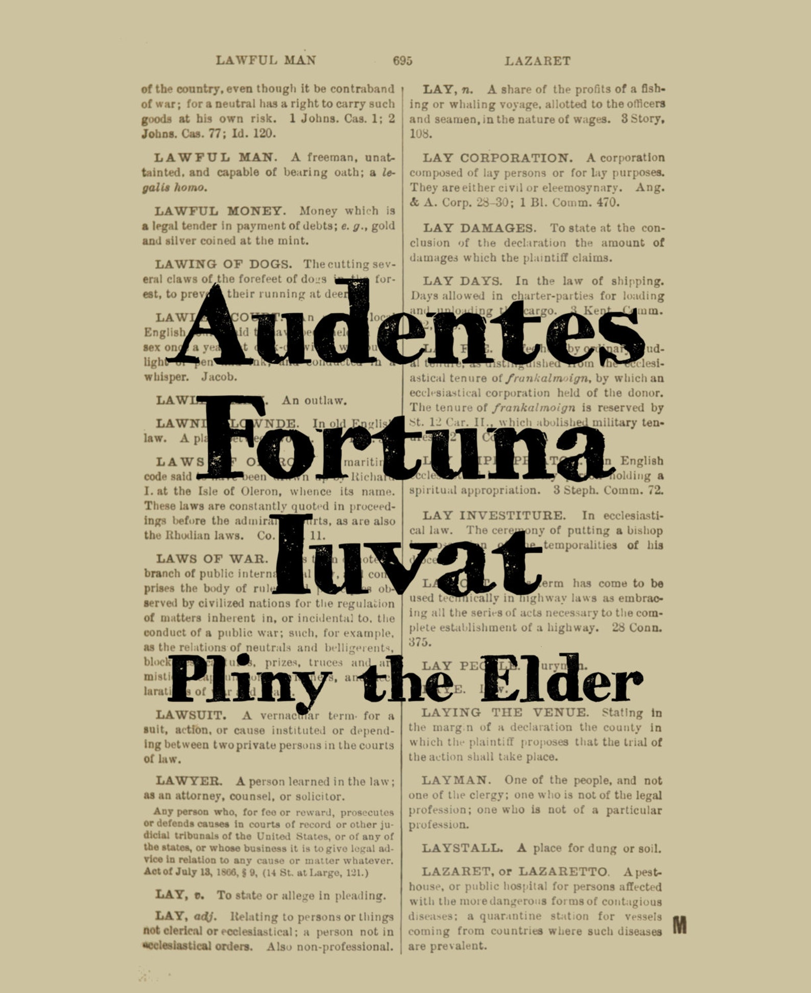 Audentes Fortuna Iuvat Plinius de oudere fortuin gunsten