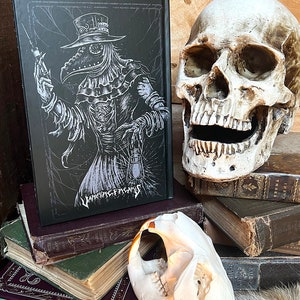 Plague Doctor Journal