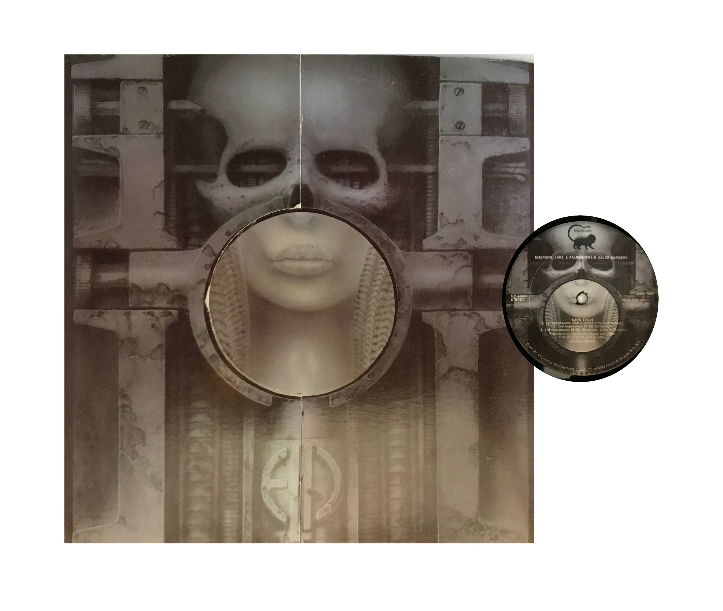 Brain Salad Surgery Meme