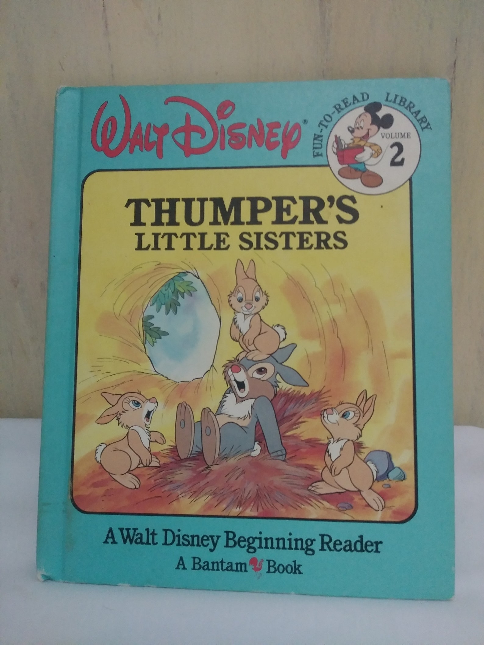 Thumper's Little Sisters walt Disney Funtoread Library Etsy Canada