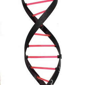 May include: A black and pink 3D printed DNA model on a black base. The model is made of plastic and has a double helix shape. The model is approximately 30 cm tall.
