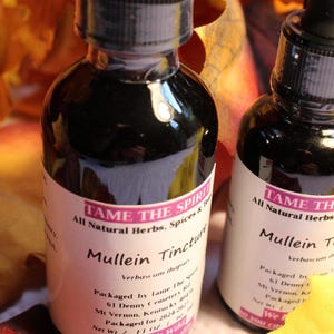 Mullein Tincture - Made with Wild Harvested leaf and Flower