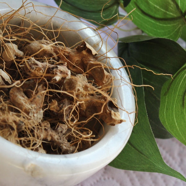 Wild Yam Root, Whole, Wild Harvest from the Appalachian Mountains