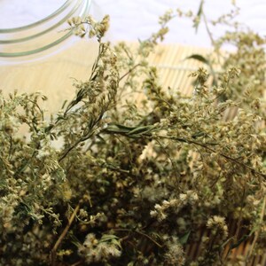 Goldenrod Flowers, Dried - Wild Harvested in the Appalachian Mountains