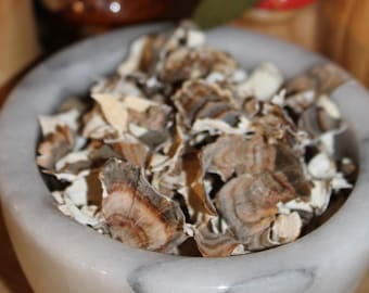 Turkey Tail Mushrooms - Tea Bag size pieces, Wild Crafted Fall 2025