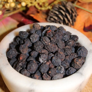 Blackthorn Berries - Sloe Fruit