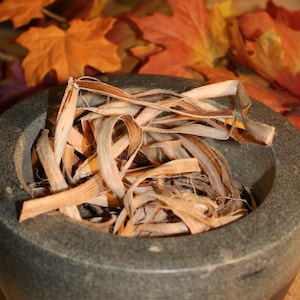 Slippery Elm Bark - Large cut, Wild Harvested in the Appalachian Mountains