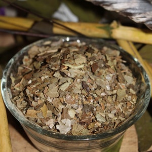 Boldo Leaf
