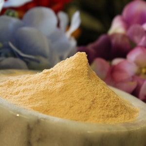 Acerola berry Extract Powder