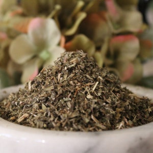Lemon Balm, Melissa officinalis