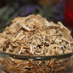Nettle Root  - Wild Harvested Organic Herbs from the Appalachian Mountains
