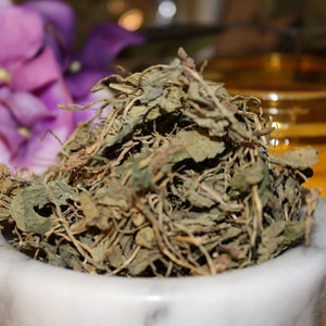 Violet Leaf - Large Cut, Wild Herbs from the Appalachian Mountains