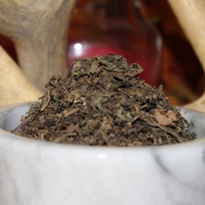 Patchouli Herb - Pogostemon cablin
