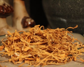 Cordyceps Mushroom, Whole
