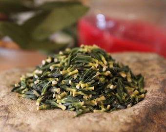 Sacred Lotus Fruit