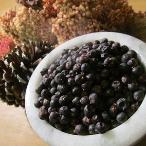 Juniper Berries - Wild Harvest from the Kentucky Appalachian Mountains