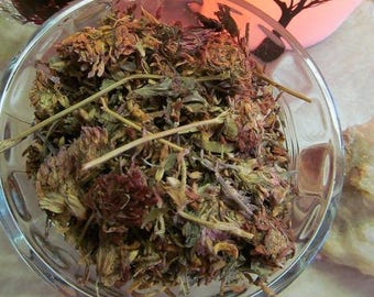 Red Clover Tops - 2026 Appalachian Mountains Wild Harvest