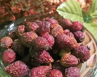 Rose Hips - Wild Harvested