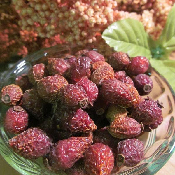 Rose Hips - Wild Harvested