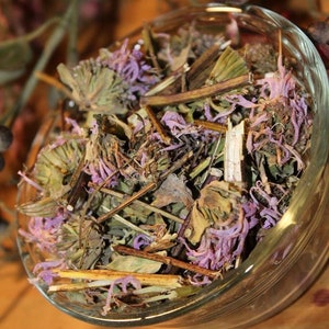 Bergamot Herb - Fresh Bee Balm, Summer 2025 Appalachian Mountains Wild Harvest