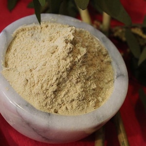 Nettle Root Powder - Wild Organic Herbs from the foothills of the Appalachian Mountains