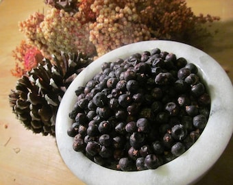 Juniper Berries - Wild Harvest from the Kentucky Appalachian Mountains