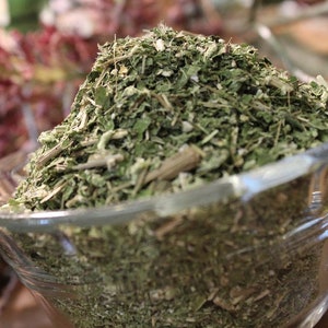 Boneset - Wild Harvested from the Appalachian Mountains
