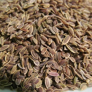 Dill Seed