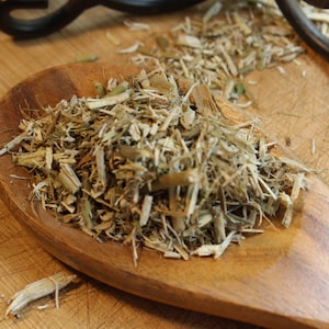 Sassafras Twigs - Dried Herb for Tea, Gumbo, Soup and Exotic Culinary flavoring