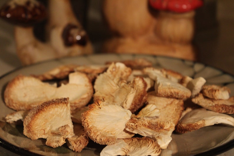 May include: A close-up of a plate of dried mushrooms. The mushrooms are light brown and have a slightly crispy texture.