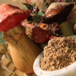 Reishi Mushroom Powder